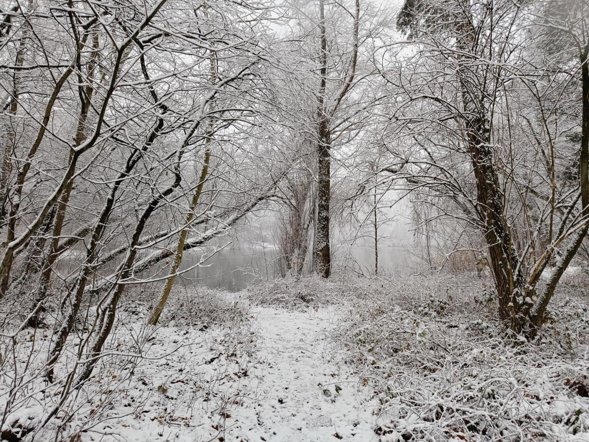 Lauwie 14 Lanaken Buitenkant foto