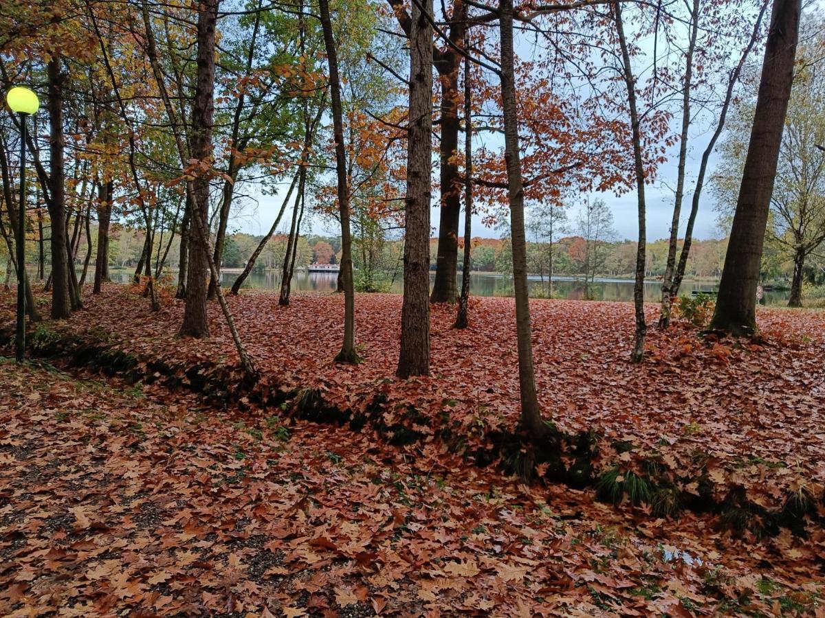Lauwie 14 Lanaken Buitenkant foto