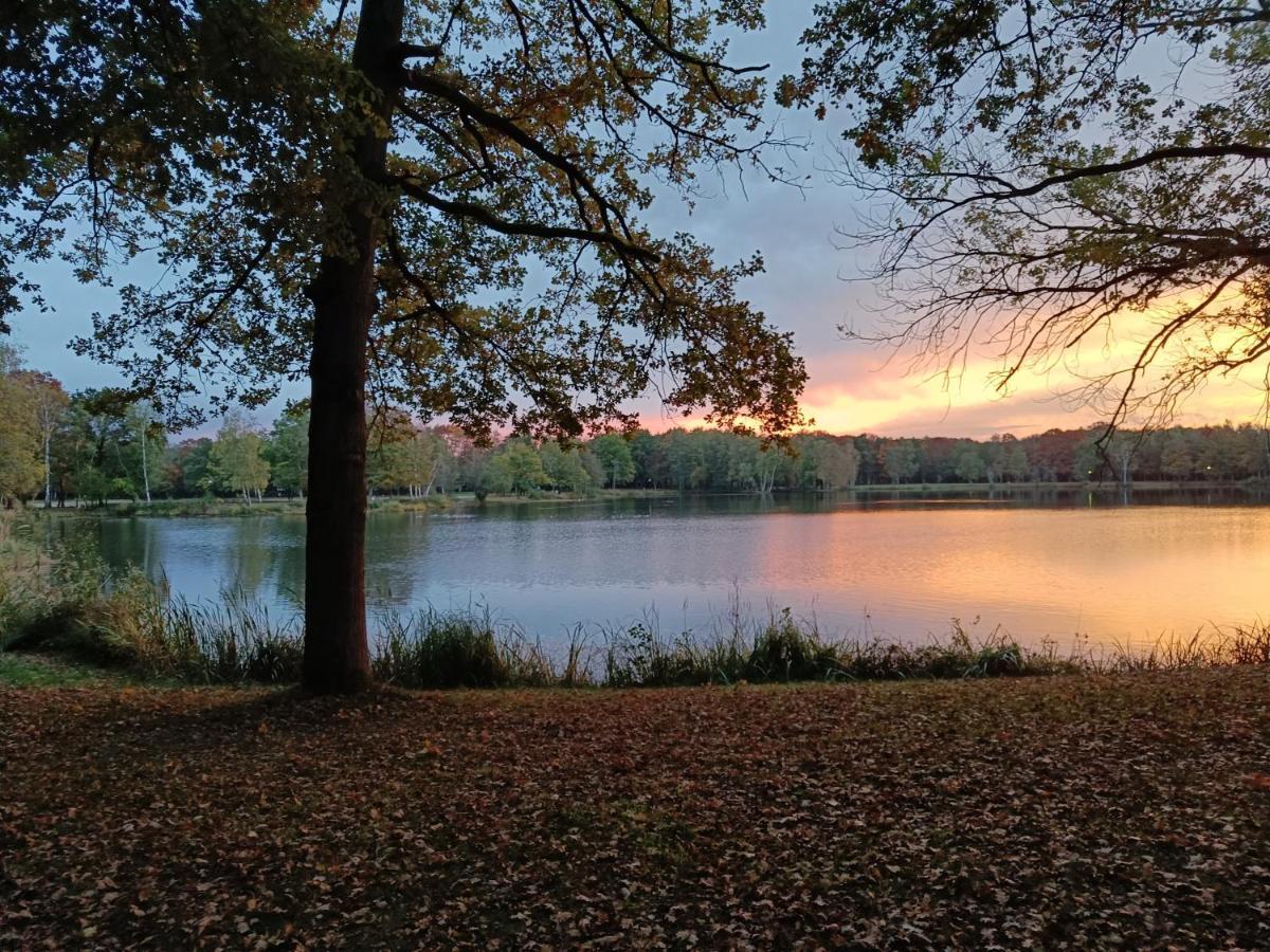 Lauwie 14 Lanaken Buitenkant foto