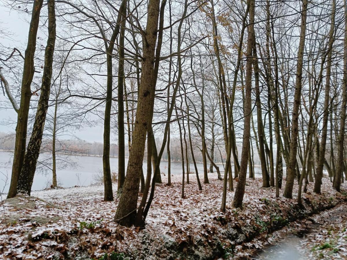 Lauwie 14 Lanaken Buitenkant foto