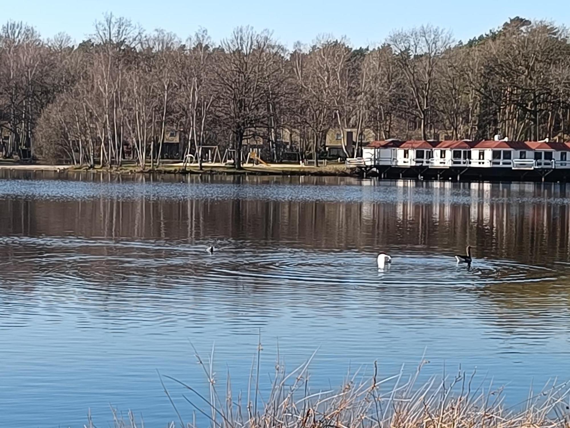 Lauwie 14 Lanaken Buitenkant foto